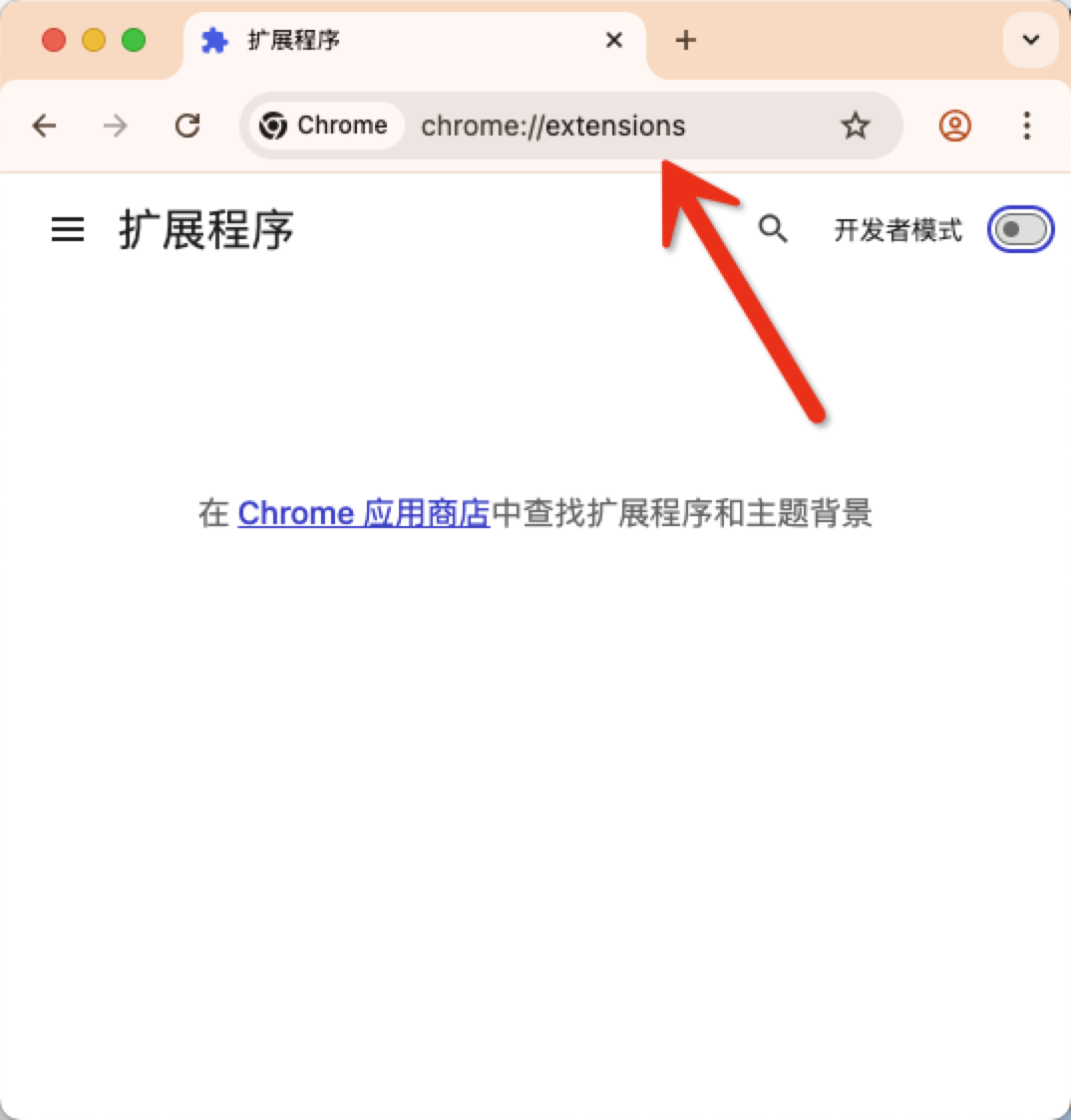 打开Chrome浏览器扩展页